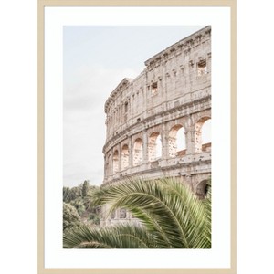 Amanti Art Colosseum by Henrike Schenk Wood Framed Wall Art Print - 1 of 4