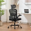 Ergonomic Office Chair with Flip-Up Armrests & Lumbar Support, Breathable Mesh High Back Desk Chair, Wide Seat, Black - 2 of 4