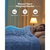 15 Lbs Dual Sided Fluffy Heavy Weighted Blankets for Adults - No Bunching with Double Layers of Soft Inner Lining 60x 80, 15 Pounds - 2 of 4