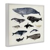 Stupell Industries Vintage Nautical Chart of Whales Ocean Life Framed Giclee Art - 2 of 4