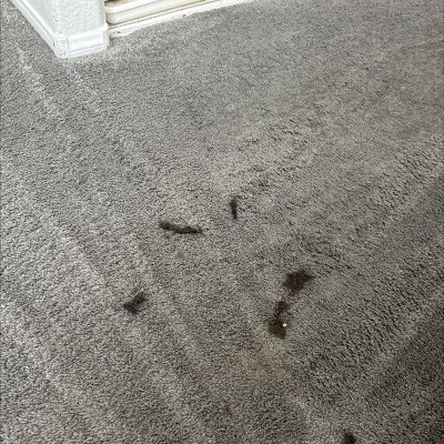 Guest review image 1 of 2, zoom in
