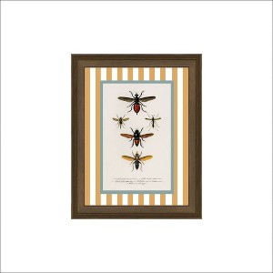 Petal Lane 8"x10" Insect Illustration Framed Wall Art Charcoal Brown - 1 of 3