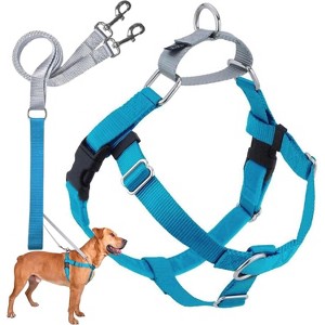 2 Hounds Design Freedom No Pull Dog Harness and Leash Set - Small, Medium & Large Dogs | Adjustable Dog Harness | Made in USA | 5/8" SM Turquoise - 1 of 4