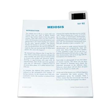 Supertek® Microslide, Plant Meiosis, 35mm