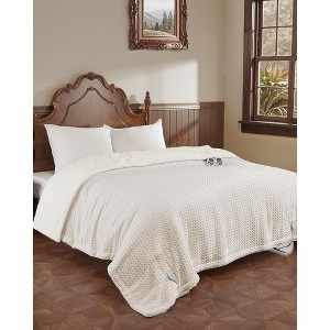 GustoWave Waffle Electric Heated Blanket Throw, Fast Heating with Controller, Machine Washable, 5 Sizes Available - 1 of 4