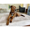 Big Barker 7" Orthopedic Dog Bed - Sleek Edition - 2 of 4