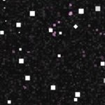 georgia bulldogs uga