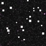 georgia bulldogs uga