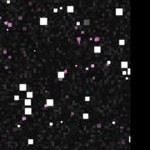 georgia bulldogs uga