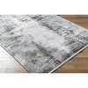 Hauteloom Jera Luxury Fringed Faux Silk Rug - 3 of 4