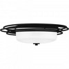 Quoizel Lighting Calliope 2 - Light Flush Mount in  Matte Black - 4 of 4