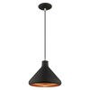 Livex Lighting Metal Shade 1 - Light Pendant in  Black - 4 of 4