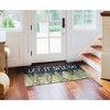 Liora Manne Frontporch Holiday Indoor/Outdoor Rug.. - 2 of 4