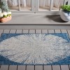 Courtyard Dokupa CY8893 UV & Stain Resistant Non-Shedding Power Loomed Indoor/Outdoor Rugs - Safavieh - 2 of 4