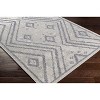 Hauteloom Auckland Indoor & Outdoor Rug - 4 of 4
