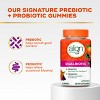 Align DualBiotic Prebiotic & Probiotic Daily Supplement Gummies - Natural Fruit  - 60ct - 2 of 4