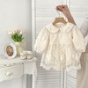Arrival Baby Girls Long Sleeves Solid Color Floral Embroidered Tulle Bodysuits Dress - 2 of 4