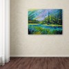 14" x 19" Summer Valley by Marion Rose - Trademark Fine Art: Canvas Wall Decor, Modern Style, Unframed Digital Landscape - 3 of 4