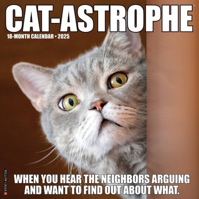 Willow Creek Press Cat-astrophe 2025 Wall Calendar: Monthly 12x12" Blue Paper, All Ages, Sewn Binding