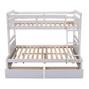 Twin Over Full Bunk Bed with Storage Drawers, Convertible to Two Beds, Space Saving Solid Wood Bed Frame for Kids & Teens-3irtyhousy - 3 of 4