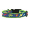 The Worthy Dog Dino Dog Collar - 2 of 4