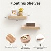 Syemin Decorative Wall Shelf Bathroom Floating Shelf Wall Mounted Shelf Farmhouse Home Decor Display Shelving, Wall Shelves, Beige, 11.81"*3.94"*1.26" - 3 of 4