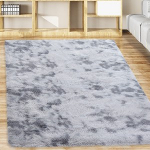 Fluffy Shaggy Rug: Tie-Dyed Furry Non-Shedding Plush Rug – Fuzzy Accent Carpet for Living Room, Bedroom | Soft Feet-Friendly Home Decor Floor Cover - 1 of 4