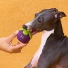 ZEZE Fruit & Veggie Latex Squeaky Dog Toys - 3 of 4