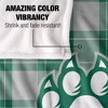 Northwest Missouri State University Campus Plaid Spirit Silky Touch Super Soft Throw Blanket 50x60 - 4 of 4