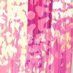 raspberry ombre petals