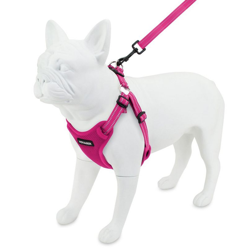 Voyager Step-In Flex All-Weather Adjustable Dog Harness & 5' Leash Set, 5 of 7