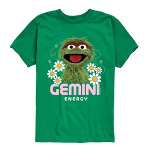Boys' - Sesame Street - Oscar Gemini Energy Short Sleeve Graphic T-Shirt - 1 of 4