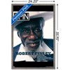 Trends International SPIN Magazine - Robert Finley 21 Framed Wall Poster Prints - 3 of 4