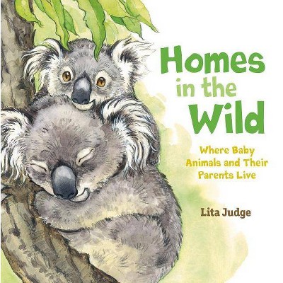 Homes in the Wild - (In the Wild) by  Lita Judge (Hardcover)