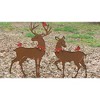 Rustic Reindeer Yard Decor Set – Doe 20" Buck 27" Tall with Red Birds by Kalalou - 2 of 3