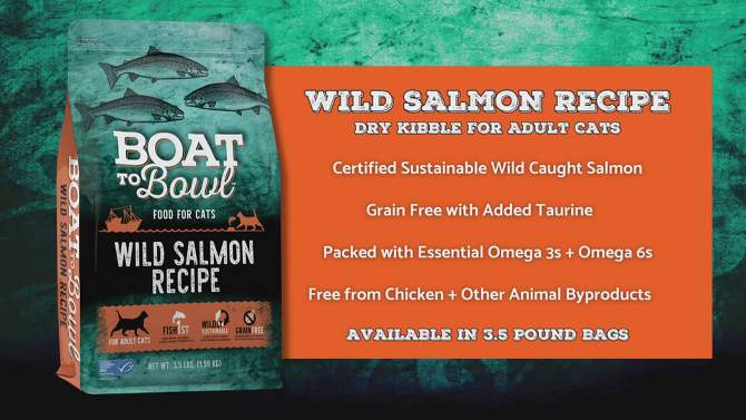 Boat To Bowl Wild Salmon and Fish Flavor Recipe Adult Dry Cat Food - 3.5lbs, 2 of 13, play video