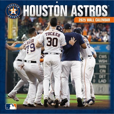 MLB Houston Astros 2025 12"x12" Team Wall Calendar
