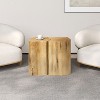 MAYEERTY 1 Pack 2-in-Modern End Table, Irregular Side Table for Living Room, Patio, Indoor Outdoor Use - 3 of 4