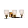 Artcraft Lighting Nelson 3 - Light Vanity in  Brass/Black - 3 of 4