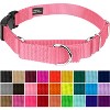 Country Brook Petz Heavy Duty Nylon Martingale Dog Collar with Deluxe Buckle - 30+ Vibrant Color Options - 2 of 4