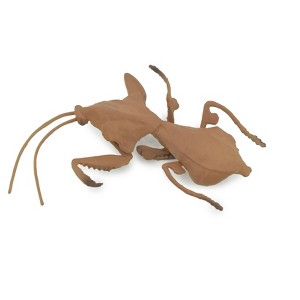 Collectible Wildlife Gifts | Praying Mantis, Deroplatys, Dead leaf mantis, High Quality, Rubber Insect, Realistic,  Toy, Gift,  3"   CH639 BB168 - 1 of 4