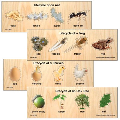 Kaplan Early Learning Life Cycle Puzzles  - Set of 4