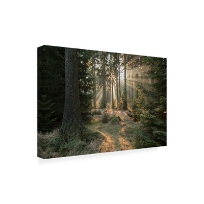 Trademark Fine Art -Vincent Croce 'Rays Part 2' Canvas Art