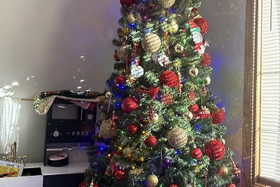 Guest review image 1 of 1, zoom in