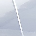 gray lid