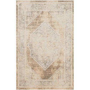 Nourison Astra Washable Vintage Indoor Flatweave Area Rug - 1 of 4