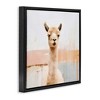 Stupell Industries Rustic Llama Portrait, 18" x 18" - 3 of 4