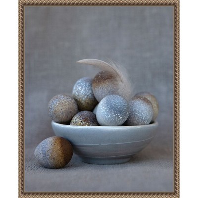 Amanti Art The Feather by Tania Soderman Framed Canvas Wall Art