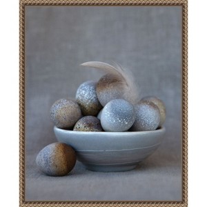 Amanti Art The Feather by Tania Soderman Framed Canvas Wall Art - 1 of 4