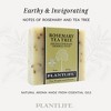 Plantlife Rosemary Tea Tree Bar Soap – Moisturizing, Soothing, Handcrafted, Plant-Based – Made in California, 4oz - 3 of 4